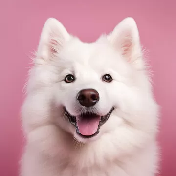 林悦